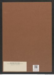 Diatomeae indet. Zeichnungen Sammlung Grunow Mappe 04048 (Herbarium_W_Grunow_drawings_Folder_04048)